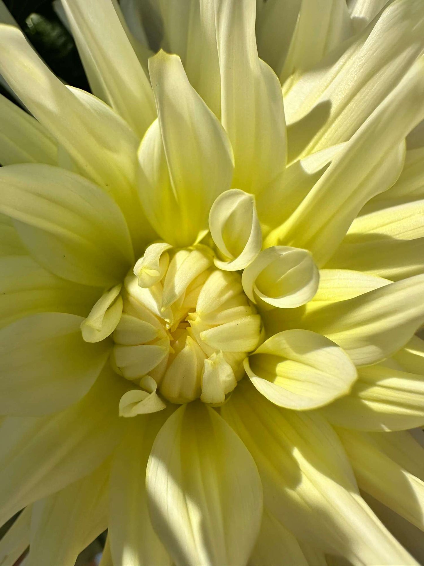 In Memory Of