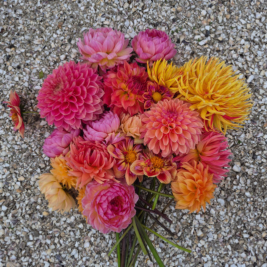 A bouquet of colorful dahlia flowers in shades of pink, orange, and yellow, lying on a bed of small gray gravel.